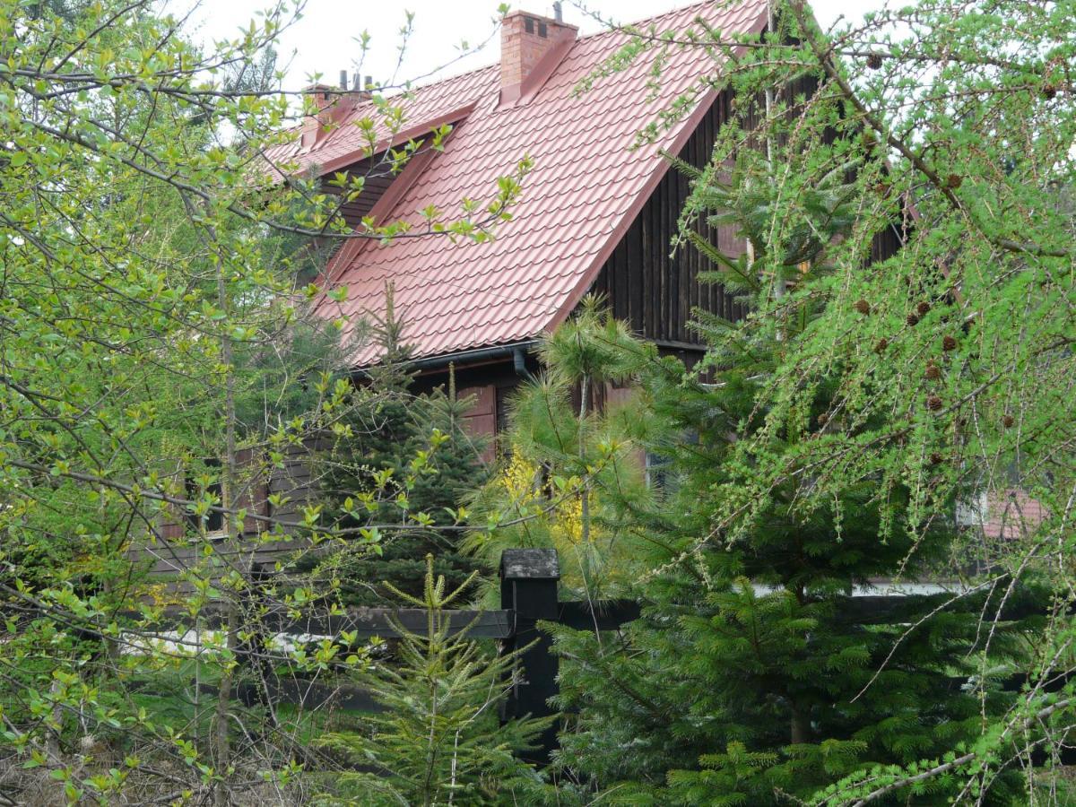Apartamento Salamandra Krempna Exterior foto