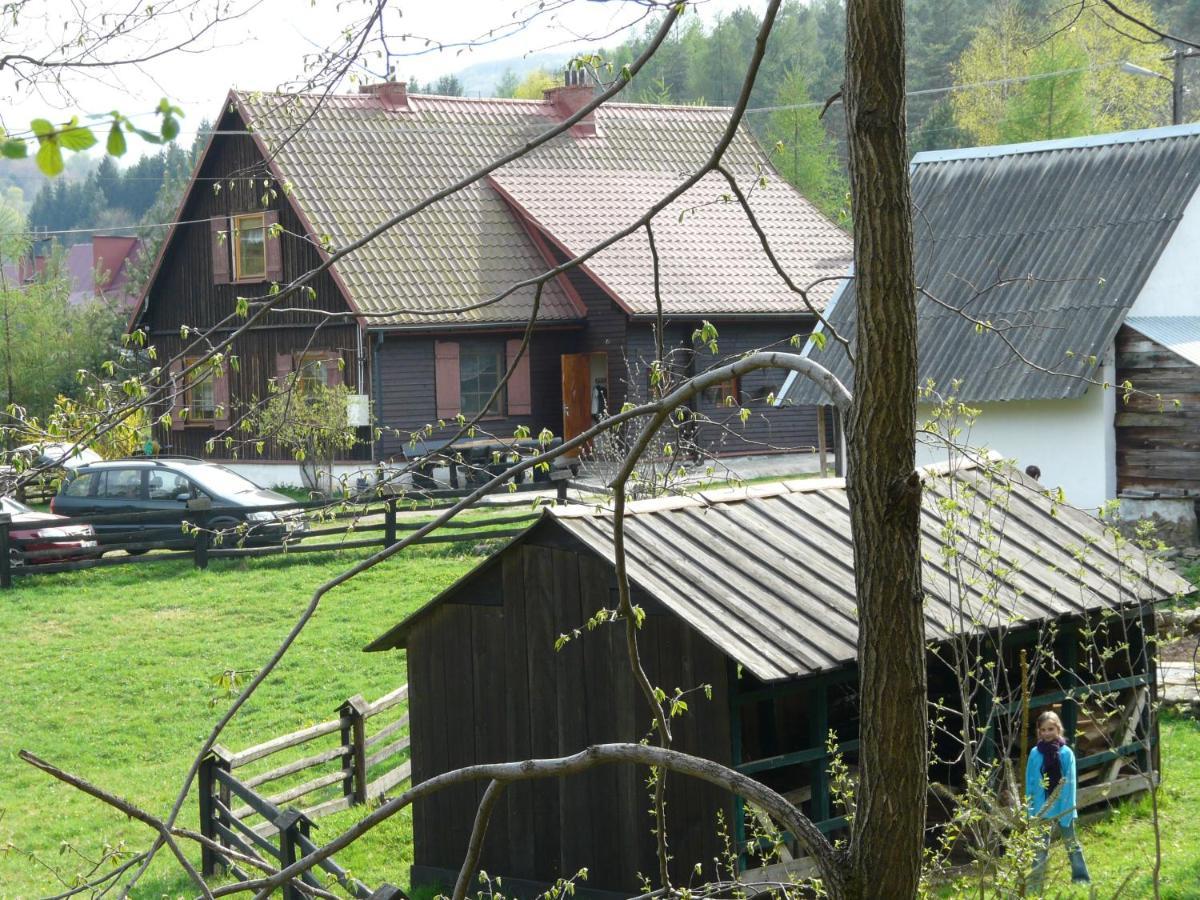 Apartamento Salamandra Krempna Exterior foto